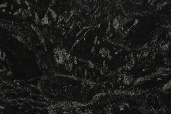 Forest Black